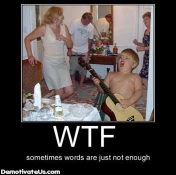 wtf-demotivational-poster2.jpg